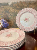 Johnson Brothers Rose Bouquet Ironstone Dinner Plates-Set of 6