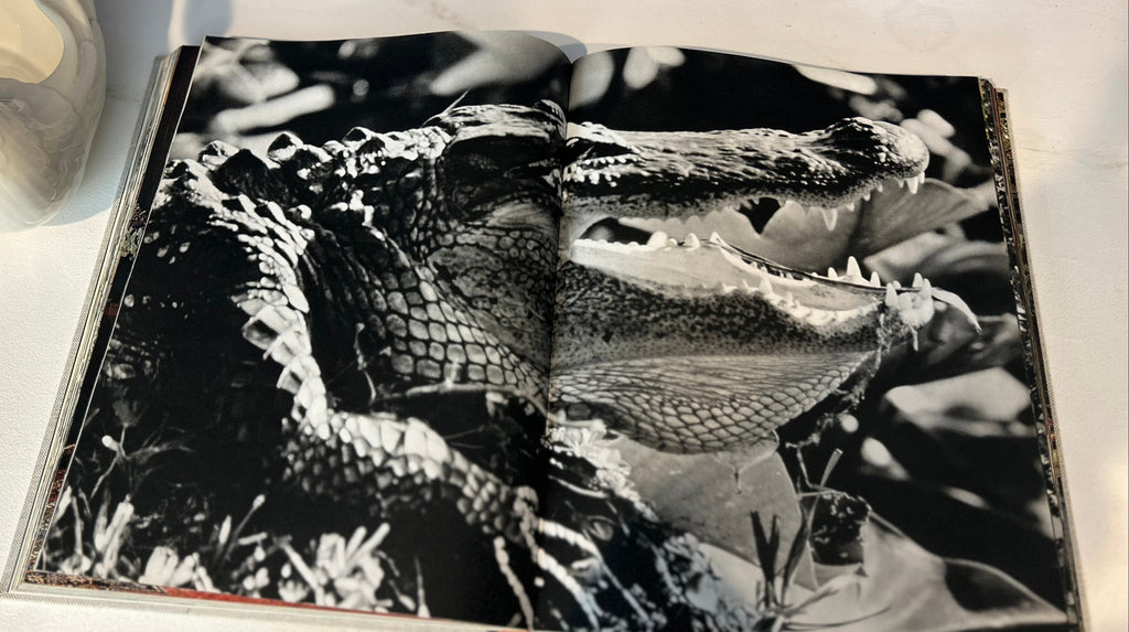 Vintage 1966 "Witness to Our Time" Coffee Table Book