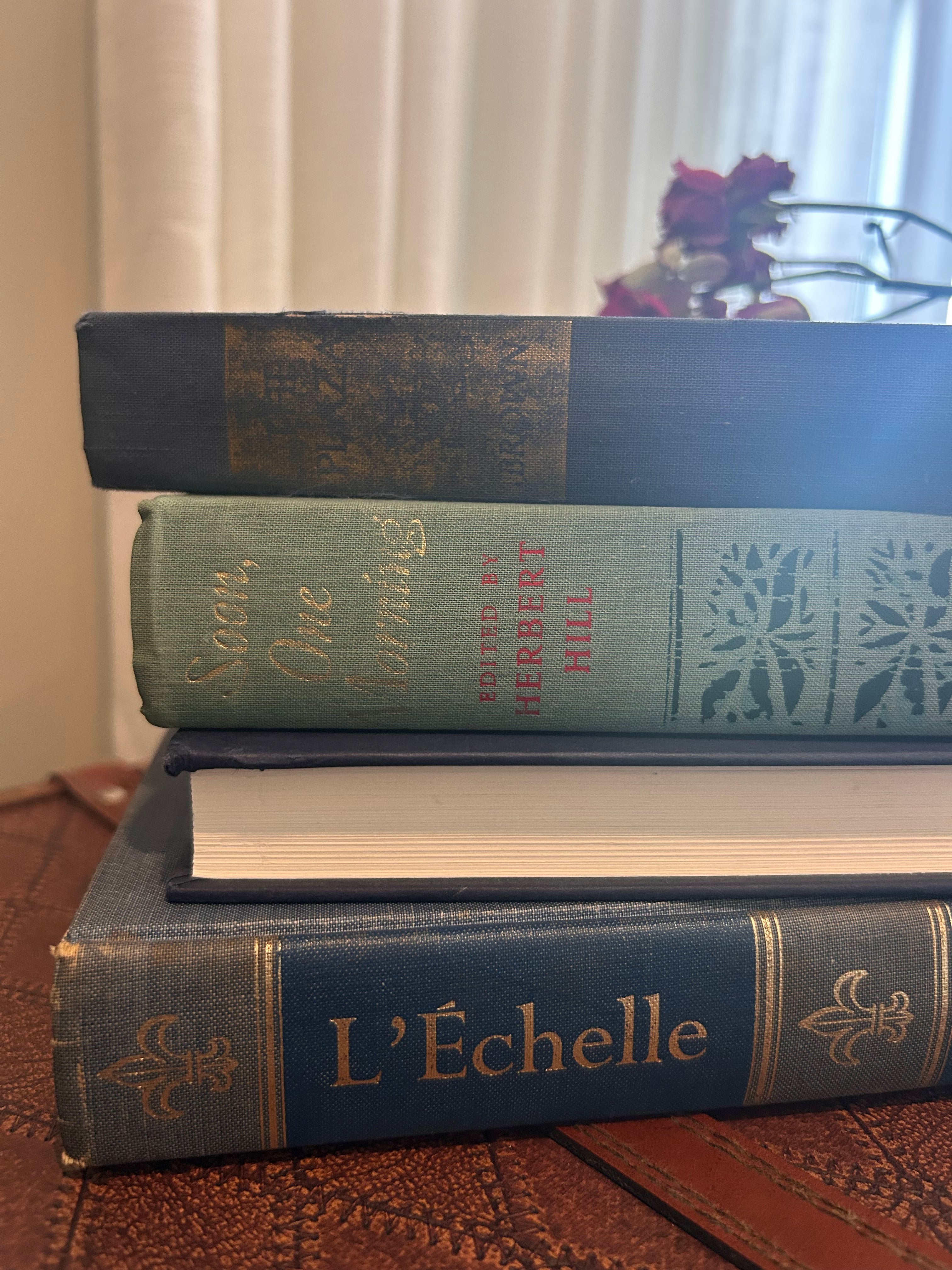 Vintage "The Plaza" Cloth Hardcover Book