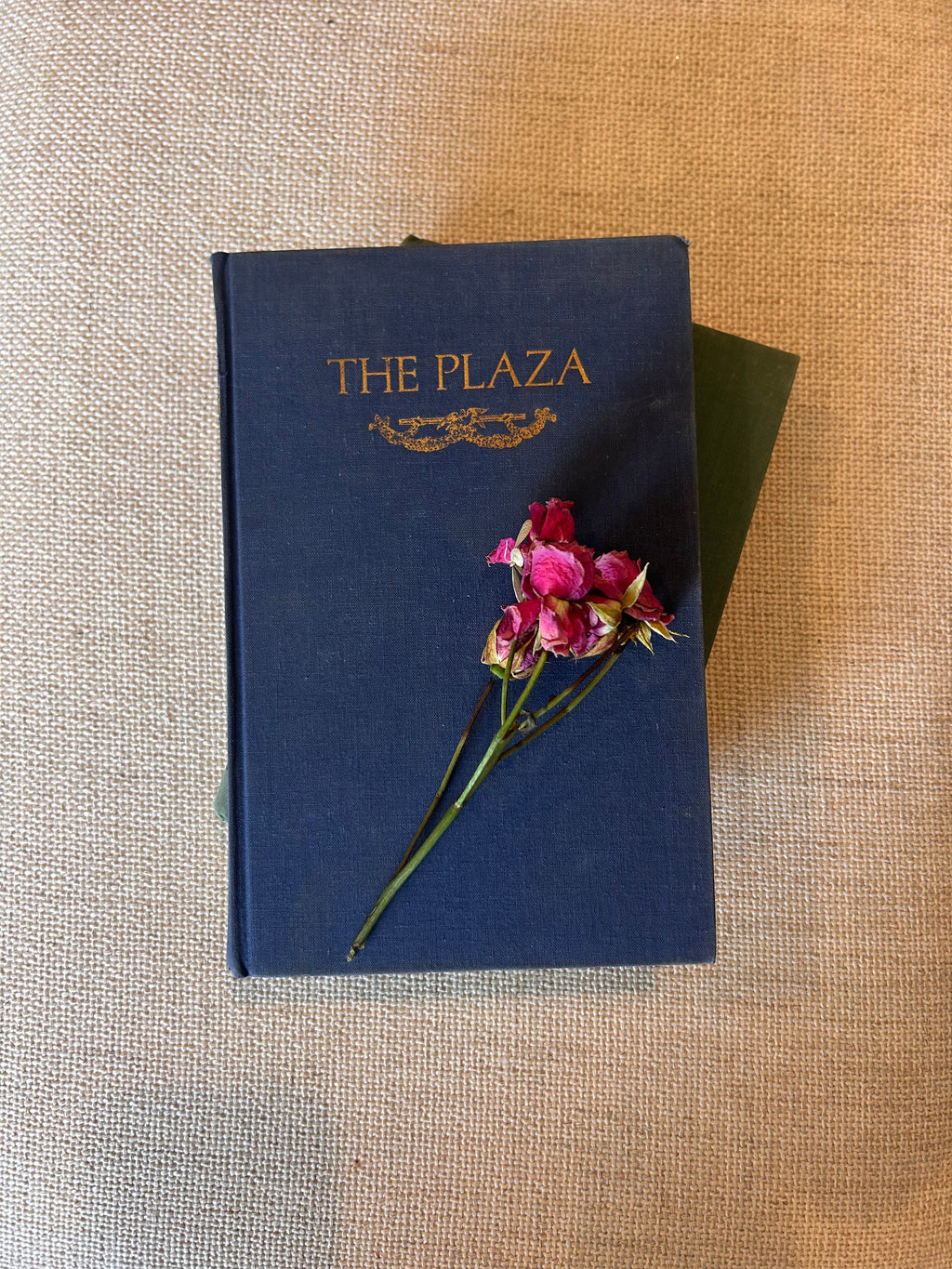 Vintage "The Plaza" Cloth Hardcover Book
