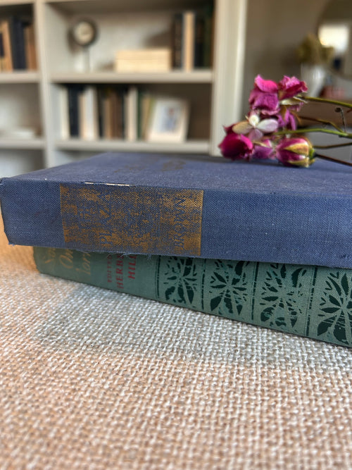 Vintage "The Plaza" Cloth Hardcover Book