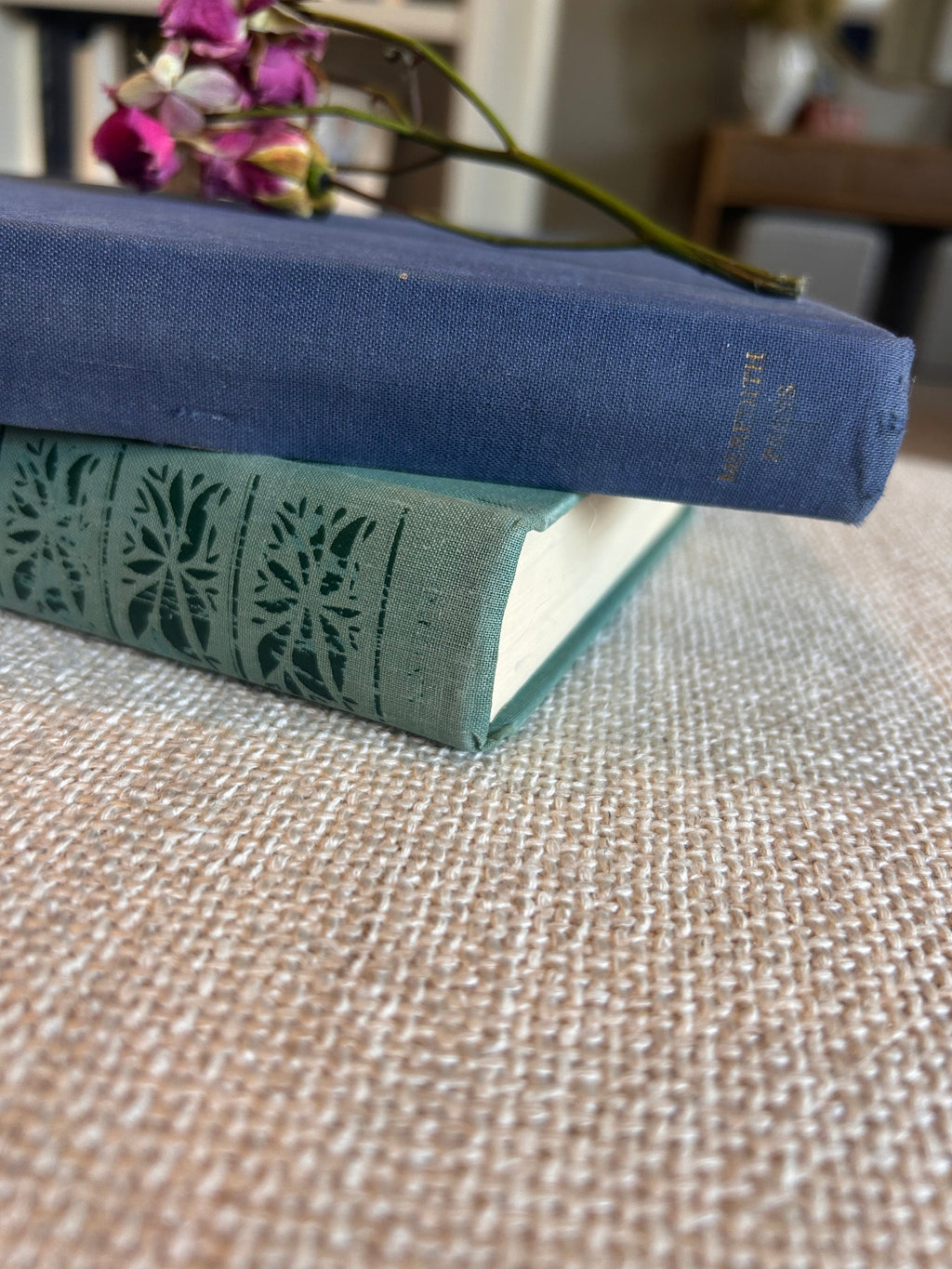 Vintage "The Plaza" Cloth Hardcover Book