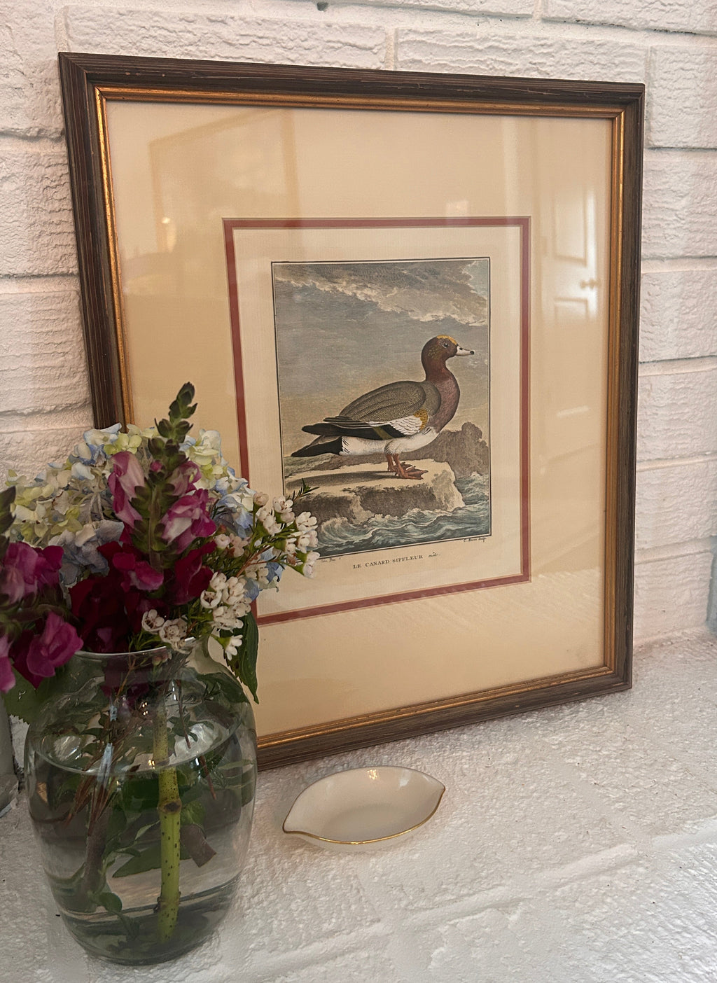 Vintage Framed Hand-Colored Italian Duck- The Florentine Collection