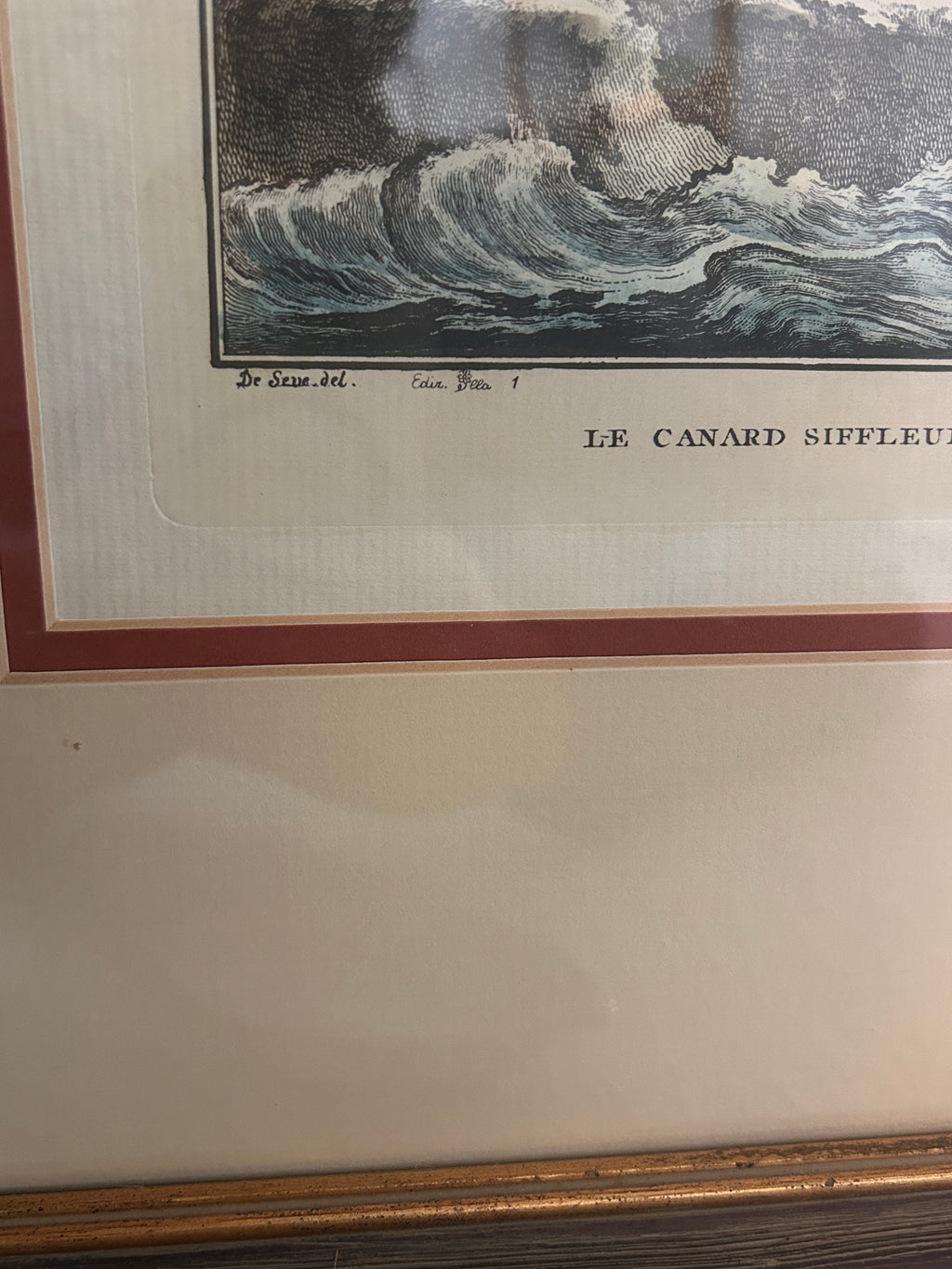 Vintage Framed Hand-Colored Italian Duck- The Florentine Collection