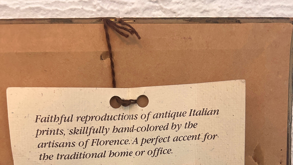 Vintage Framed Hand-Colored Italian Duck- The Florentine Collection