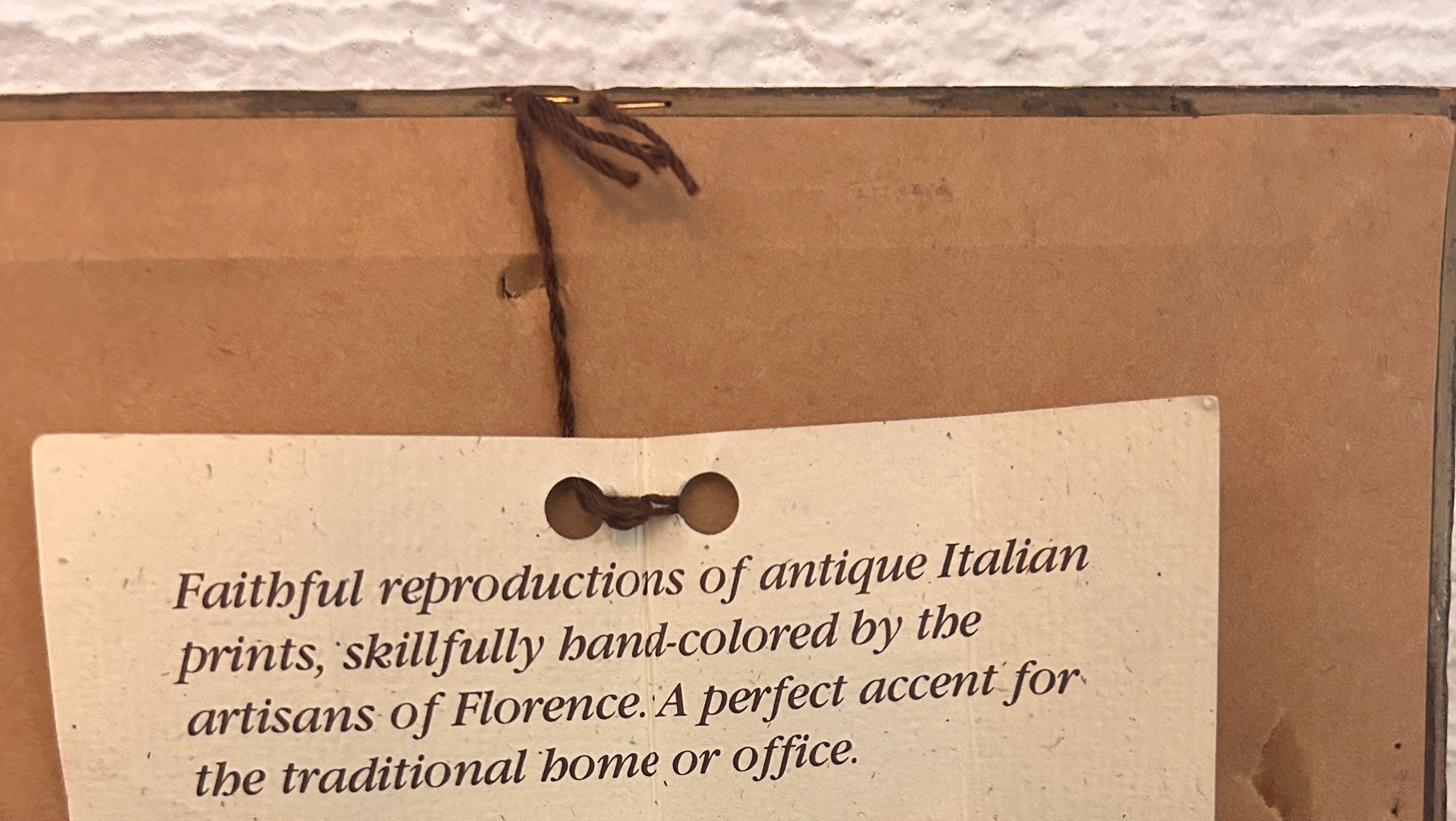 Vintage Framed Hand-Colored Italian Duck- The Florentine Collection