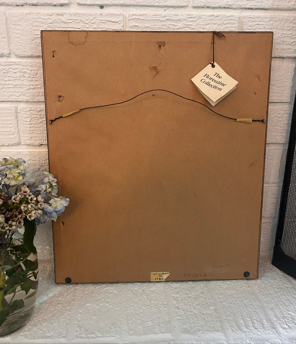 Vintage Framed Hand-Colored Italian Duck- The Florentine Collection