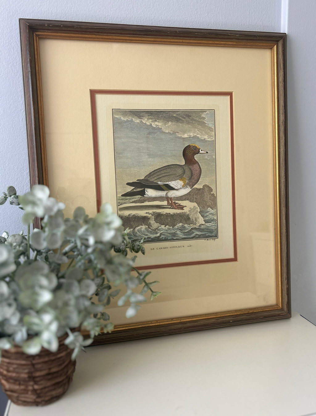 Vintage Framed Hand-Colored Italian Duck- The Florentine Collection