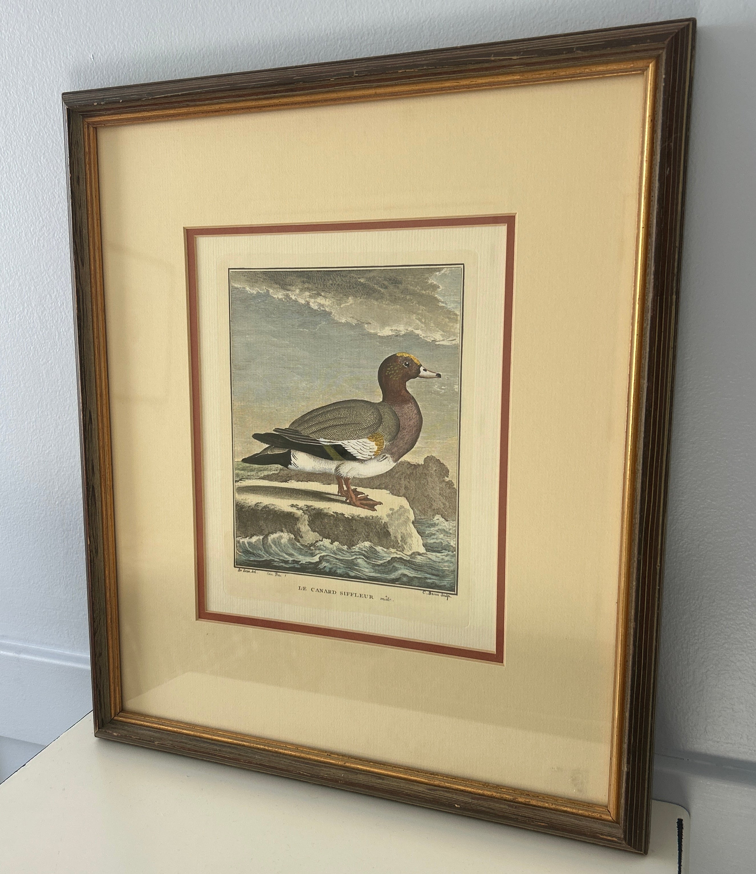 Vintage Framed Hand-Colored Italian Duck- The Florentine Collection