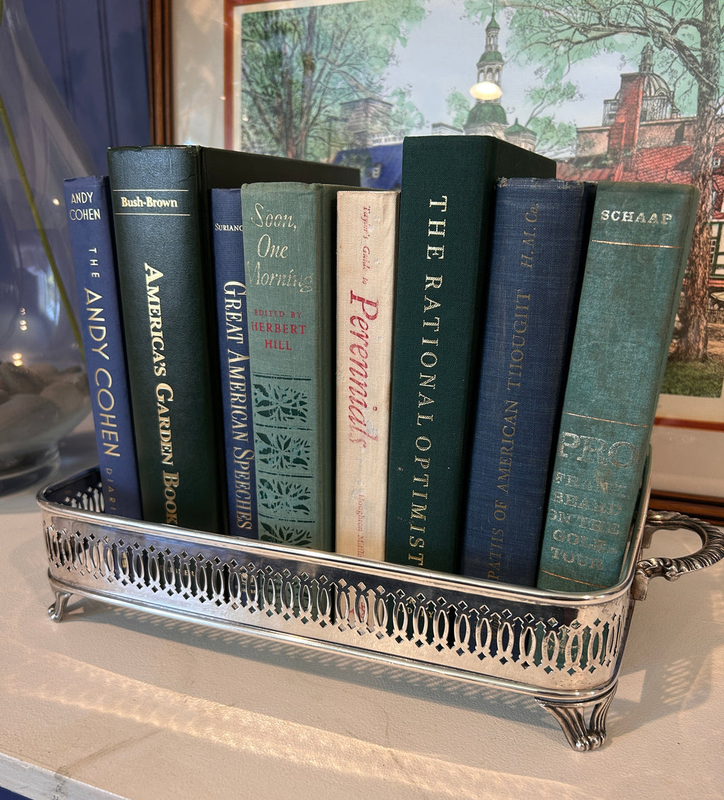 Vintage Silverplate Pierced Edge Gallery Tray