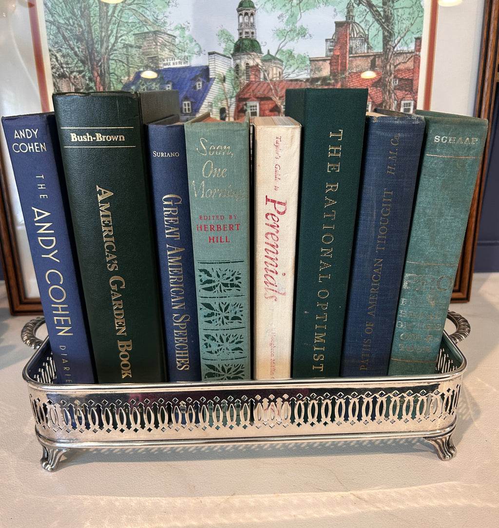 Vintage Silverplate Pierced Edge Gallery Tray