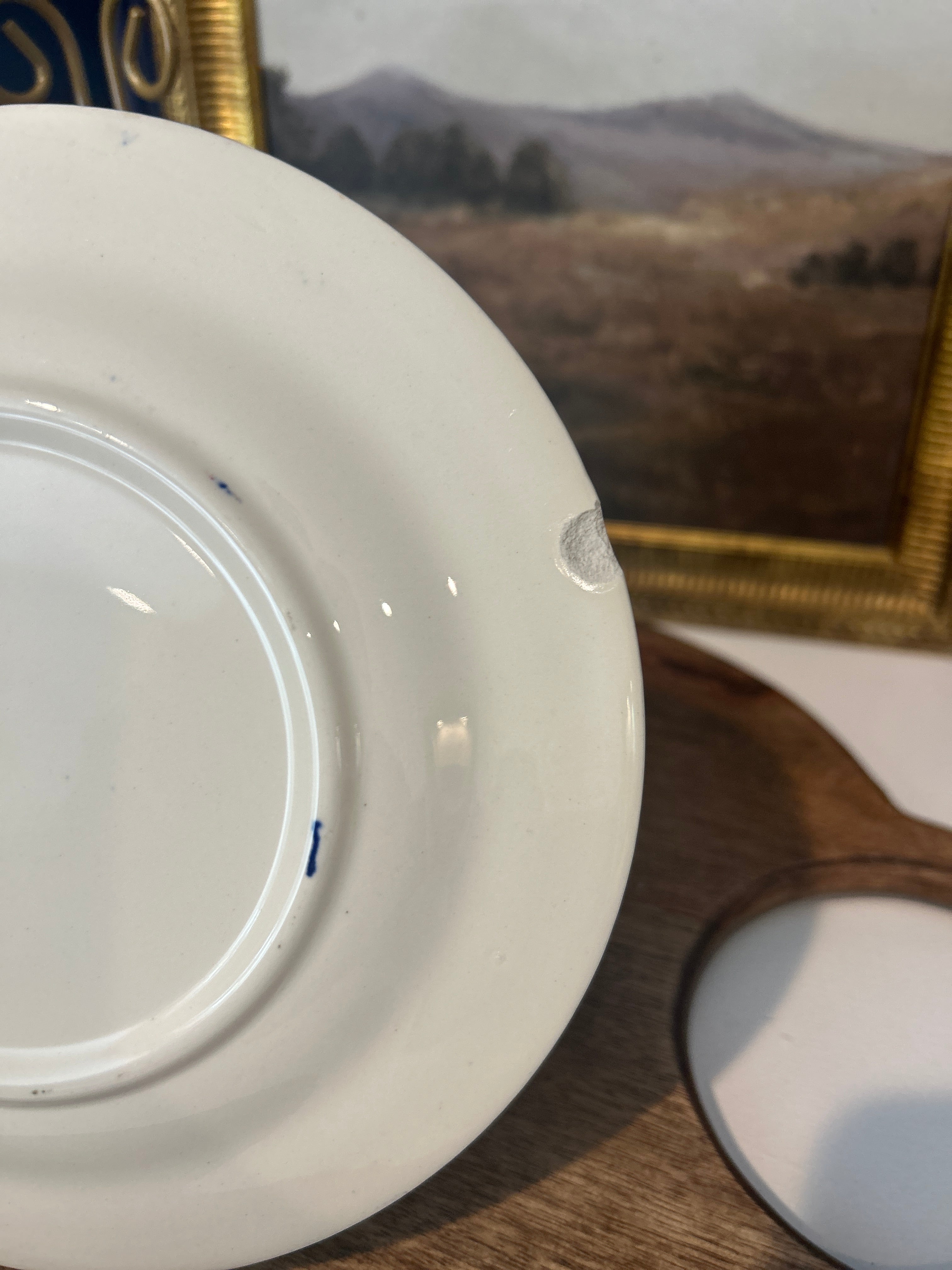 Vintage Homer Laughlin Blue Willow Plates- Set of 5